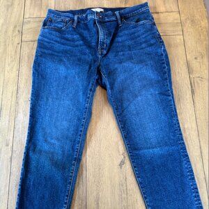 Madewell The Mid-Rise Perfect Vintage Jean Deming Wash (33)